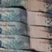 União pagou R$ 696,38 milhões em dívidas de estados e municípios