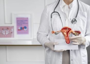 Brasileiro cruza país em avião para levar tratamento para endometriose