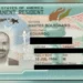 Governo Trump concede green card a Eduardo Bolsonaro