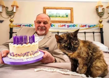 Gata de 31 anos vive rotina de madame e come salmão quase todo dia