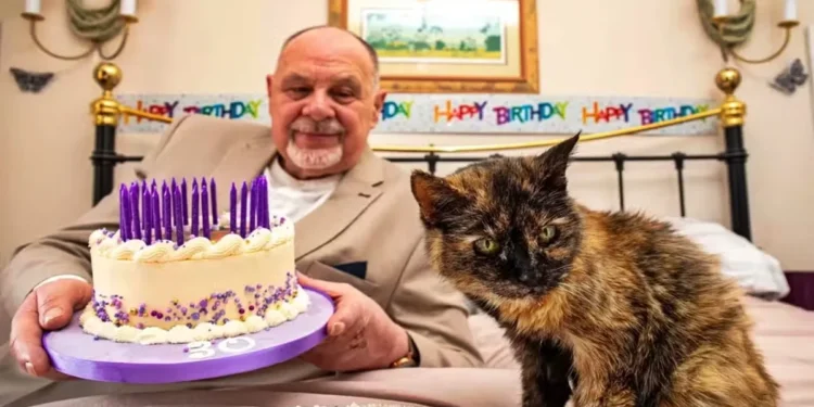 Gata de 31 anos vive rotina de madame e come salmão quase todo dia