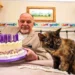 Gata de 31 anos vive rotina de madame e come salmão quase todo dia