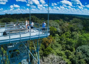 Manaus entra no radar global e desponta como destino tendência para viagens em 2026