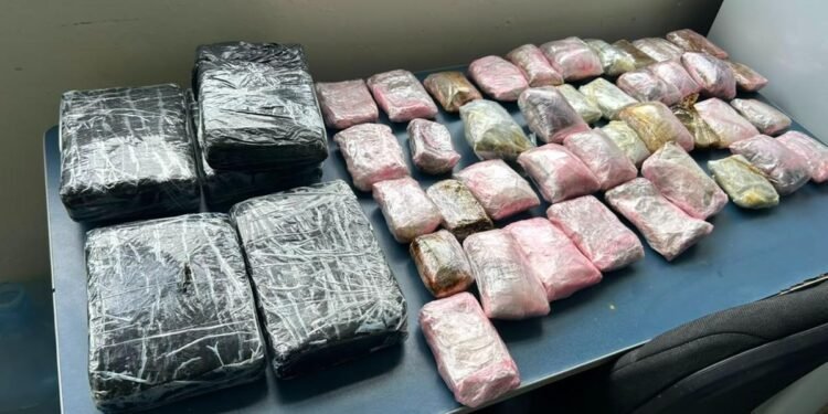 PF e Exército apreendem 10 quilos de drogas em aeroporto de São Gabriel da Cachoeira