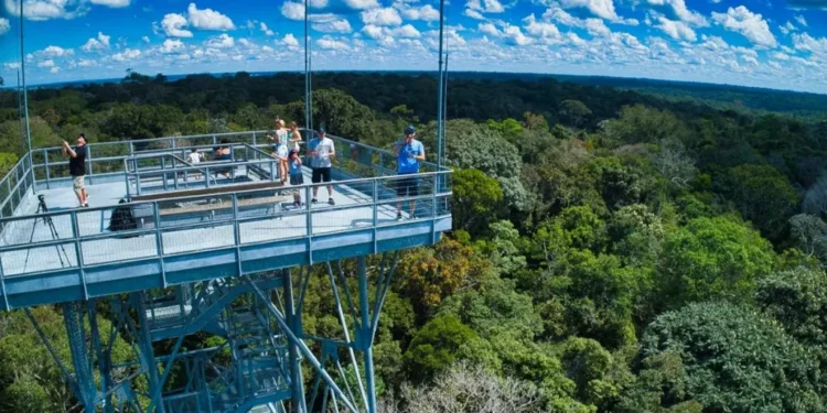 Manaus entra no radar global e desponta como destino tendência para viagens em 2026