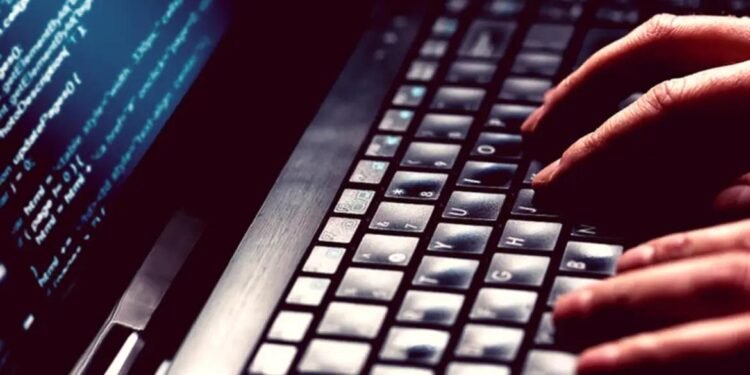 Falsos anúncios sobre Desenrola Brasil enganam usuários nas redes