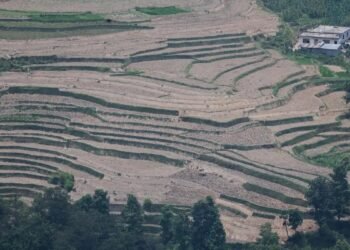 Agência da ONU alerta que forte El Niño deve se intensificar em agosto