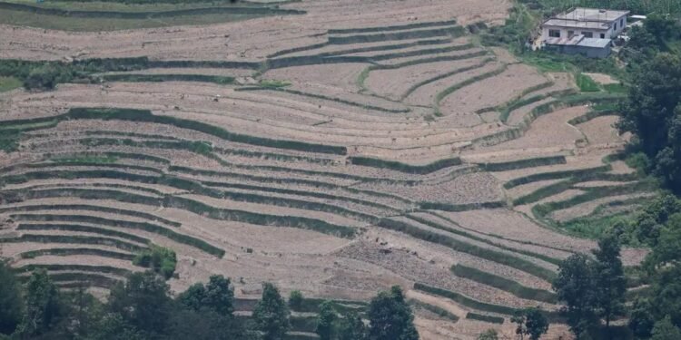 Agência da ONU alerta que forte El Niño deve se intensificar em agosto