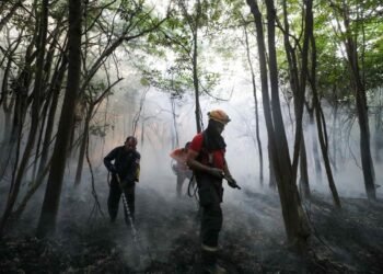 El Niño: bombeiros veem incêndios dobrarem e estimam pico em setembro