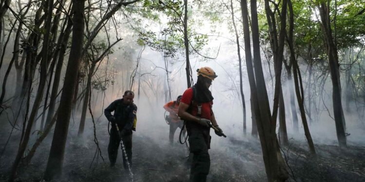 El Niño: bombeiros veem incêndios dobrarem e estimam pico em setembro