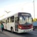 Após três dias, rodoviários encerram paralisação e ônibus voltam a circular em Manaus, diz sindicato