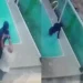 Pai enfrenta assaltantes, joga criminoso na piscina e salva filha mantida refém por quatro horas em SC