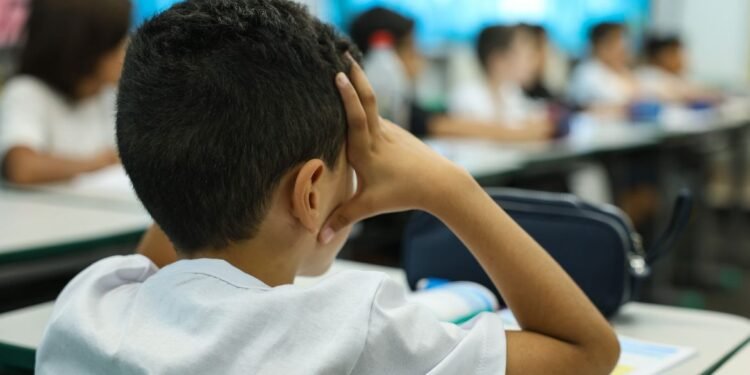 Censo Escolar 2026: coleta de dados da 1ª etapa termina nesta sexta