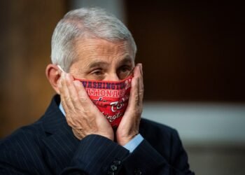 Origem da Covid-19: como audiência de Fauci no Senado dos EUA reacendeu debate sobre o vírus