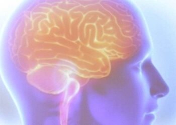 Esclerose Múltipla: agora é possível chegar ao diagnóstico mais cedo