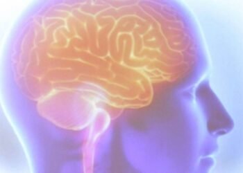 Esclerose Múltipla: agora é possível chegar ao diagnóstico mais cedo