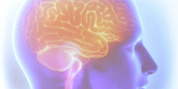 Esclerose Múltipla: agora é possível chegar ao diagnóstico mais cedo
