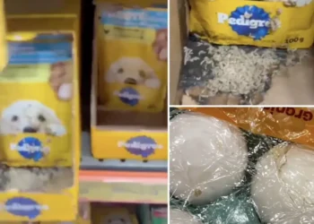 Larvas são encontradas em unidade do supermercado DB e cliente denuncia condições de higiene em Manaus