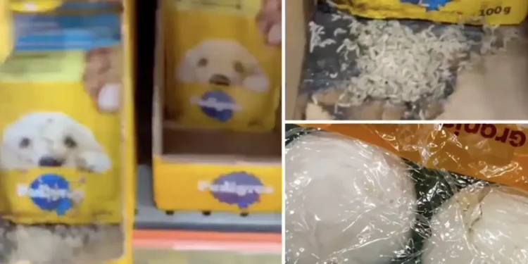 Larvas são encontradas em unidade do supermercado DB e cliente denuncia condições de higiene em Manaus