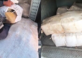 Cerca de 300 kg de drogas são apreendidos no Lago Azul