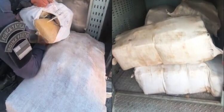 Cerca de 300 kg de drogas são apreendidos no Lago Azul