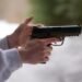Projeto que amplia porte de armas para empresários avança na Câmara; veja o que pode mudar