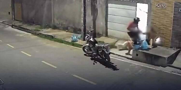 Mulher enfrenta assaltante na força física e reação surpreendente é registrada por câmeras