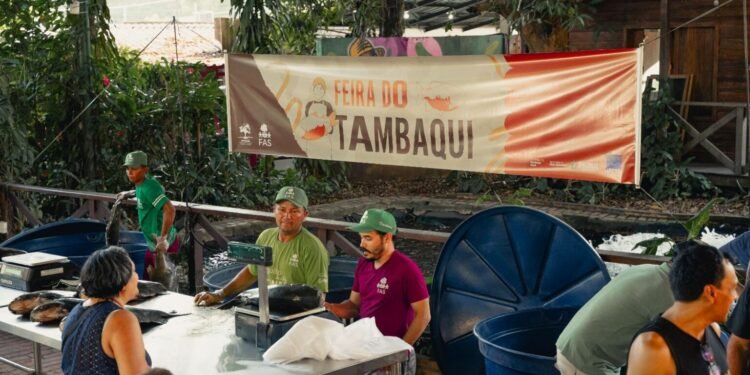 Feira do Tambaqui é prorrogada em Manaus com preços a partir de R$ 11/kg