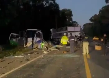PR: acidente com 22 mortos envolveu micro-ônibus da Saúde de Imbituva