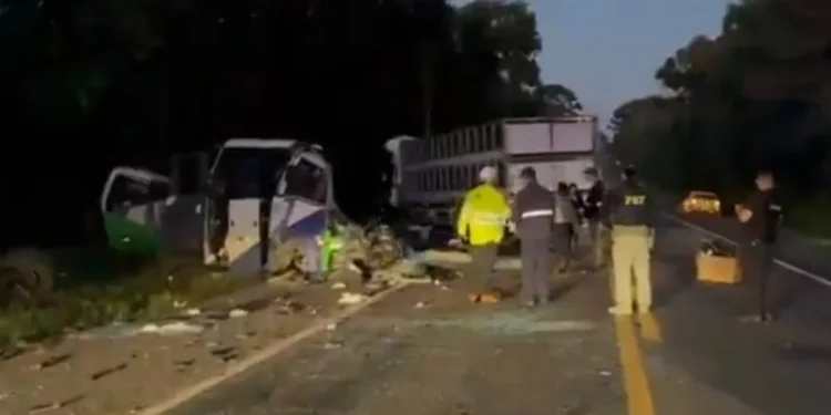 PR: acidente com 22 mortos envolveu micro-ônibus da Saúde de Imbituva