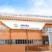 Anvisa suspende chás que prometem efeitos emagrecedores
