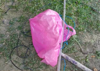 Cão morre e bebê é resgatado por janela em incêndio no Viver Melhor 3