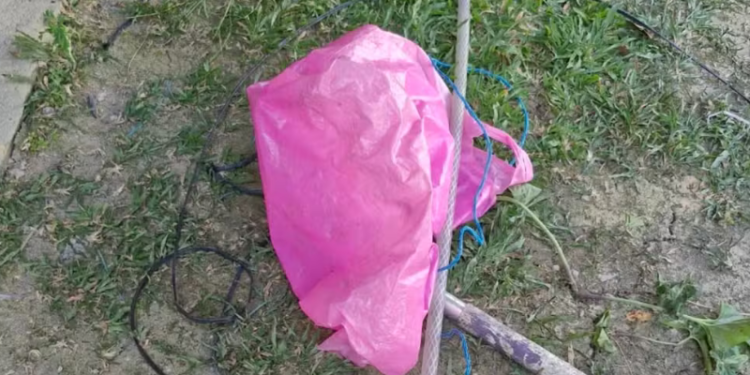 Cão morre e bebê é resgatado por janela em incêndio no Viver Melhor 3