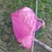 Cão morre e bebê é resgatado por janela em incêndio no Viver Melhor 3