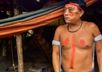 Mortes por desnutrição caem 75,7% na Terra Indígena Yanomami