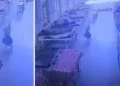 Cachorro pega bolsa com R$ 21 mil em joias e foge de hospital; câmeras entregam o “ladrão”