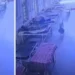 Cachorro pega bolsa com R$ 21 mil em joias e foge de hospital; câmeras entregam o “ladrão”
