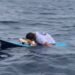 Triste homenagem em pracha de surfe a cão morto emociona;