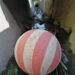 Jovens tentam resgatar bola em córrego, comemoram recuperação, mas ela volta para o esgoto