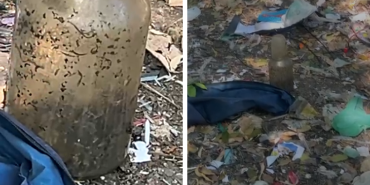 Material com aparência de feto é encontrado em terreno baldio no Aleixo