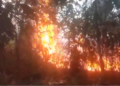 incêndio consome área de mata e assusta moradores em Caapiranga no AM