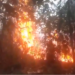 incêndio consome área de mata e assusta moradores em Caapiranga no AM