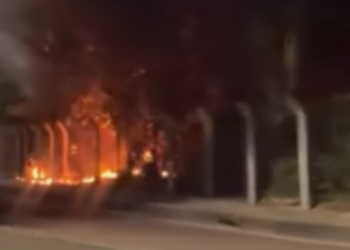 Incêndio se espalha por área de mata e encobre região da Bola das Letras em Manaus