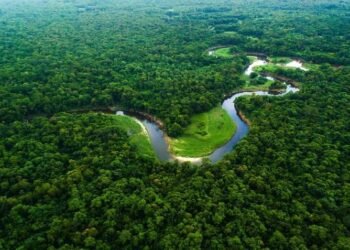 Amazonas recebe R$ 148,8 milhões para fortalecer pesquisas na Amazônia