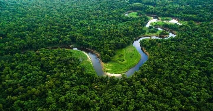 Amazonas recebe R$ 148,8 milhões para fortalecer pesquisas na Amazônia