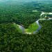 Amazonas recebe R$ 148,8 milhões para fortalecer pesquisas na Amazônia
