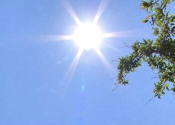 Manaus deve registrar até 36°C nesta sexta-feira (28)