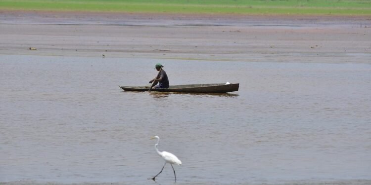El Niño ganha força e Amazonas entra em alerta para uma estiagem mais severa em 2026