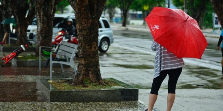 Amazonas tem previsão de chuva nesta sexta (14), aponta Inmet