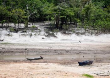 Setor produtivo de Manaus reforça estoques para estiagem e contesta taxa da seca